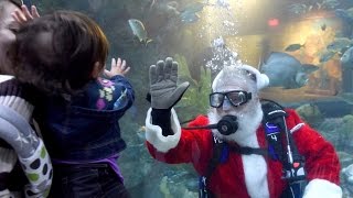preview picture of video 'Happy holidays from Audubon Nature Institute'