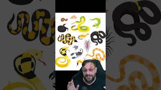 Austrália X Brasil #biologohenrique #animais #bichoesperto #biologo