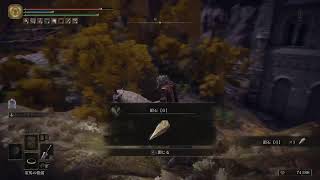 ELDEN RING 初見でじくっり楽しむ＃19
