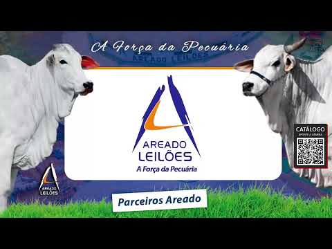 📌Leilão Presencial e Virtual AREADO LEILOES - Areado/MG - 🎥multpix.com.br