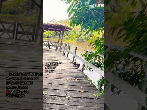 ✨FAZENDA MONTE ALTO 174,24 HECTARES✨