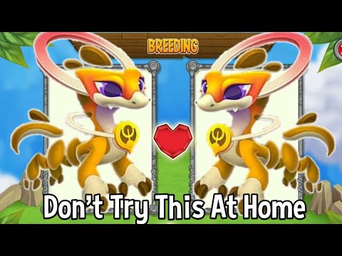 The Best Breeding Ever ! 😱