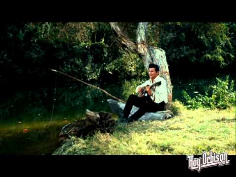 River video