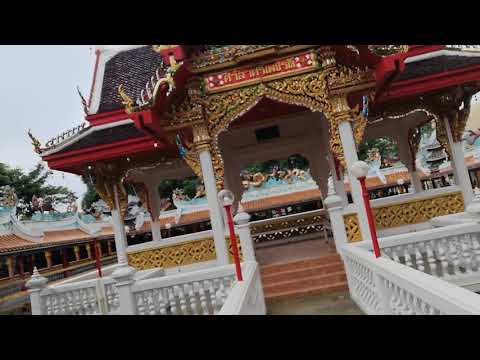 Giant Sawai fish Thailand Wat Nang Sao