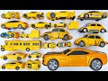 Full TRANSFORMERS Rise of the Beasts BUMBLEBEE Revenge (Animated) JCB Stopmotion Robot Tobot Car TOY