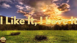 Tim McGraw - I Like It, I Love It (Lyrics)