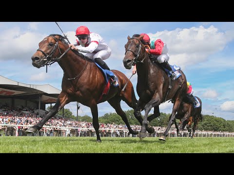 Hannover: Großer Preis der VGH Versicherungen 2024 Sieger: Alessio