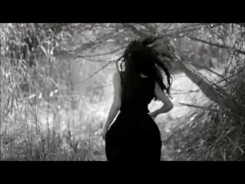 Nurse With Wound -  Approaching Darkness Fish