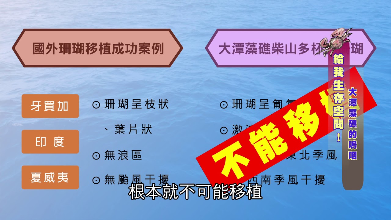 給我生存空間!大潭藻礁的嗚咽