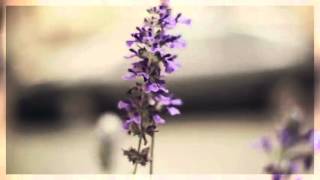 50 Cent New Day (Lyric Video) ft Alicia Keys, Dr Dre