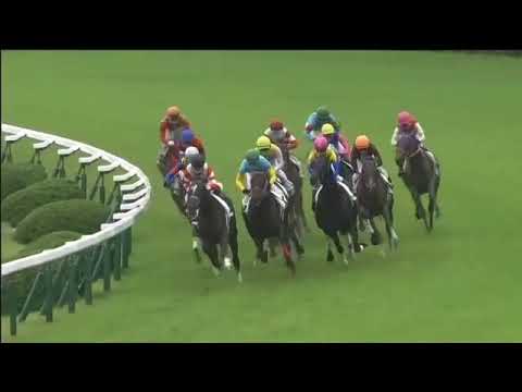 2017.10.15 2yo Newcomers (JPN) - Fox Creek