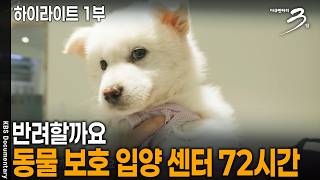 반려할까요 – 동물 보호 입양 센터 72시간 [하이라이트 1부] | KBS 다큐멘터리 3일 20260518방송