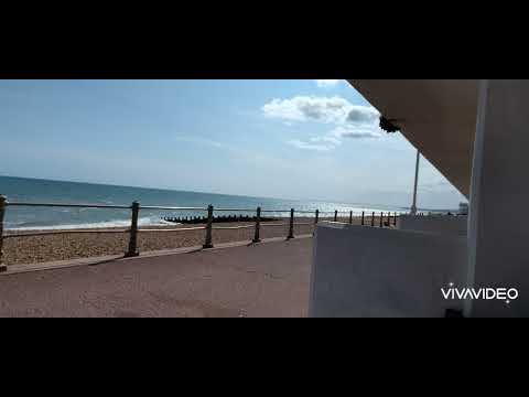 KING OF THE ROLLERS KATY B FT OZONE PARADISE ACOUSTIC