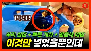 절대 그냥 물 주지마세요, 손해봅니다