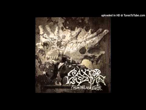 RAXYOR - Bathsalt Nymphocalypse