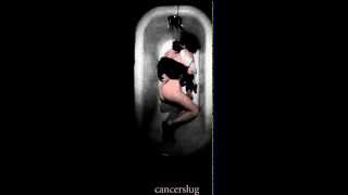 Cancerslug - Everything