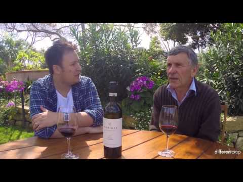 A visit to Coriole Vineyards