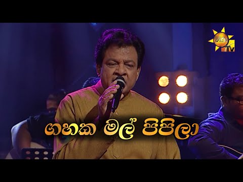 Gahaka Mal Pipila | ගහක මල් පිපිලා  | Karunarathna Divulgane | Hiru Unplugged