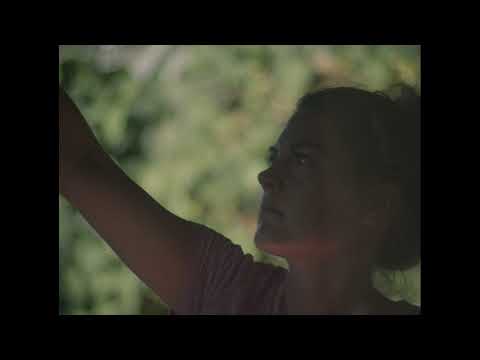 Meteor 5-1 f/1.9 17-69mm - Lens Test - Sony PMW-F3