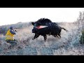 TOP 100 KILLING BLOWS! Best Wild Boar Hunts Compilation -SPECIAL SERIES-1
