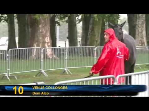 decize 2011 - partie 2