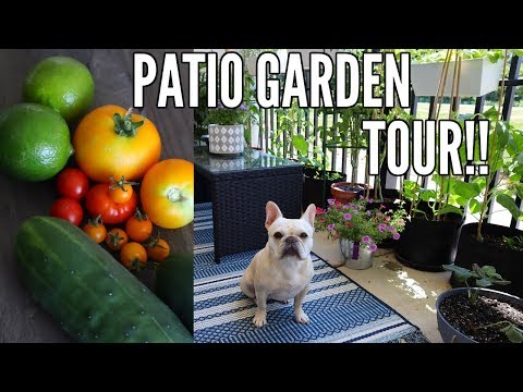 GARDEN TOUR 2018 | Small Space Patio Garden Tour - Growing in Containers!! Video