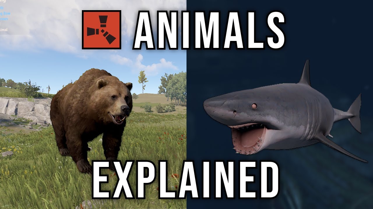 All Rust Animals Explained