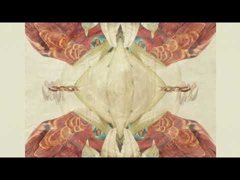 SavaBorsa - La Voz De Vibración Ft. Arnaldo Herrera (Jakare Remix)
