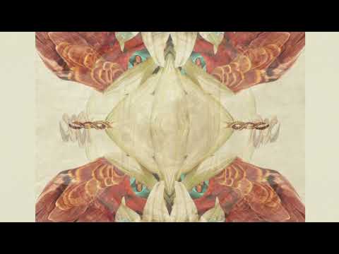 SavaBorsa - La Voz De Vibración Ft. Arnaldo Herrera (Jakare Remix)