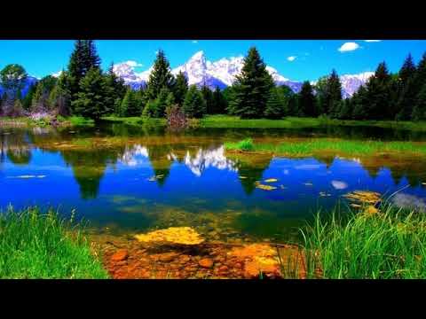 Pe malurile raurilor triste # Traian Dorz # Diverse