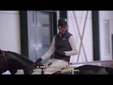 Pegase van 't Ruytershof