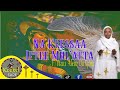 New Na Keessaa Iftee Mul Atta F Ttuu Alem Dinquu Faaruu Afaan Oromoo