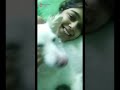 Playing With My Pet Cat Daily Shorts Muskaan Varshney Official YouTube Channel