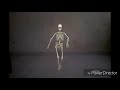 Pei Veedu 3 Theme Music Aathif Music An Aathif Flim Aathil In