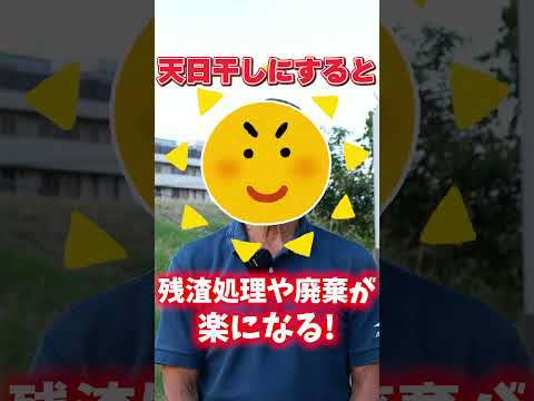 家庭菜園に最適なマルチは何ですか?収穫量を増やすための 3 つのオプション!  庭園