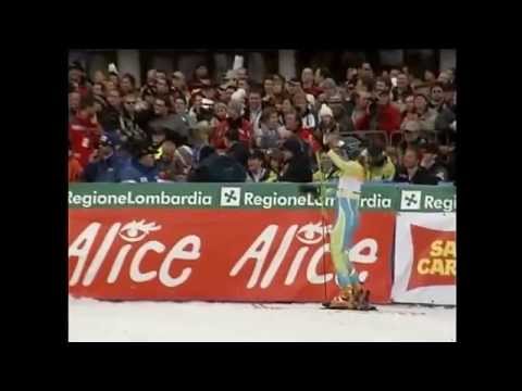 Čudežna polja - Uradna himna Zlate lisice (Golden fox)