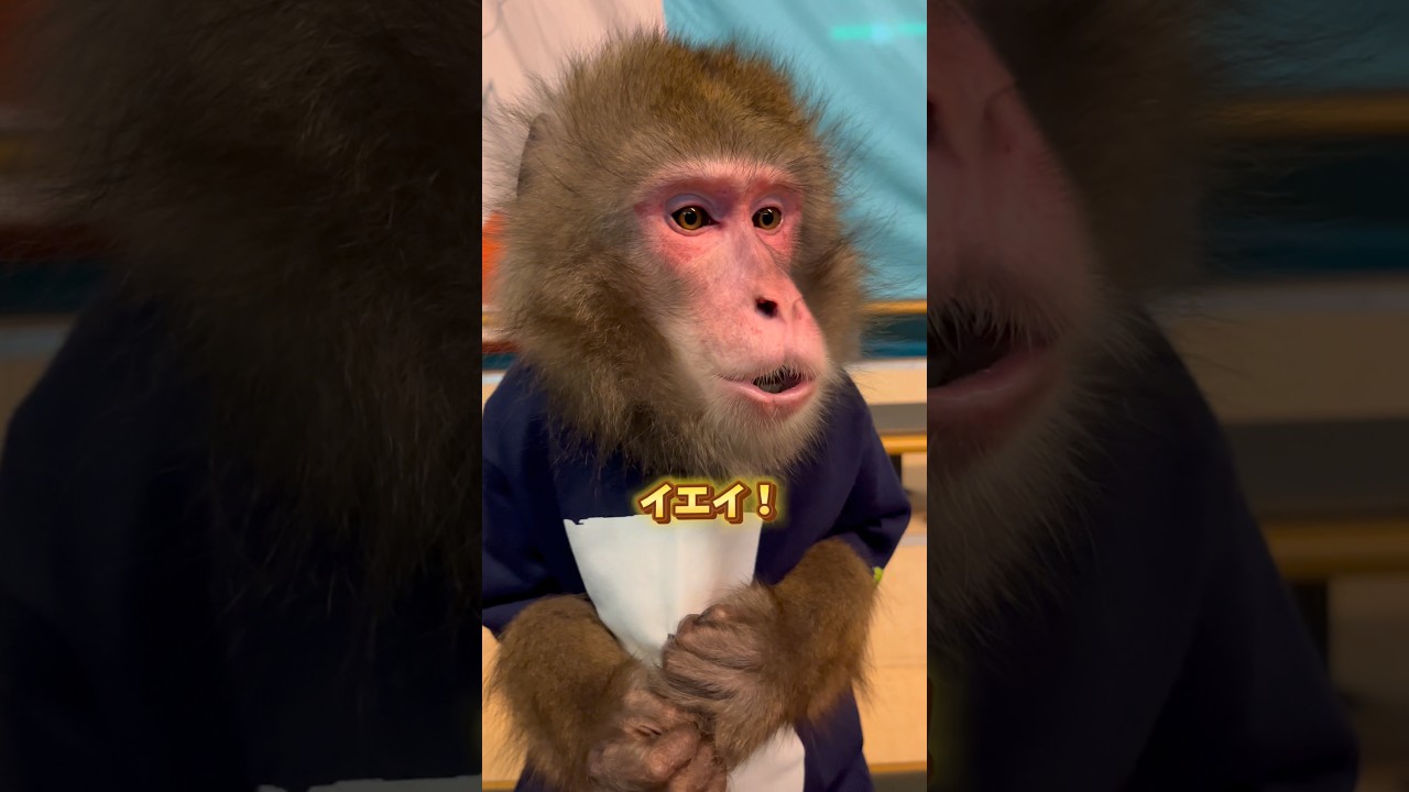 くり松は魚眼レンズで撮影してもイケメンだった⁉️