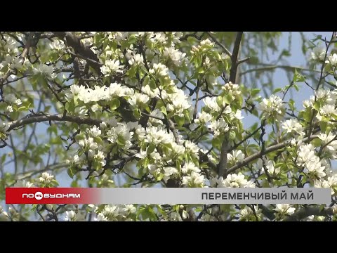 Нестабильная погода ожидается на неделе в Иркутской области