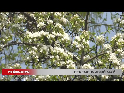 Нестабильная погода ожидается на неделе в Иркутской области
