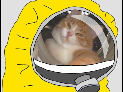 Rinseout Radio Live with DJ Buz Blaze Sept 1, 2007 @ bassdrive.com