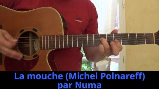 La mouche (Michel Polnareff) reprise à la guitare