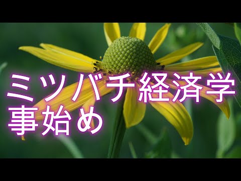 経済学科 ミツバチ経済学事始め---養蜂地代とは？／山崎亮一／2023年--東京農工大学生物生産学科--夏の勉強会