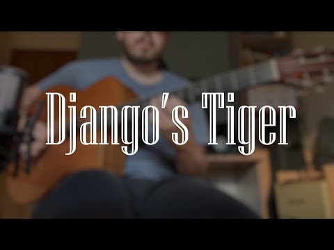 Django's Tiger - Bireli Lagrene solo (Killy Nonis pick)
