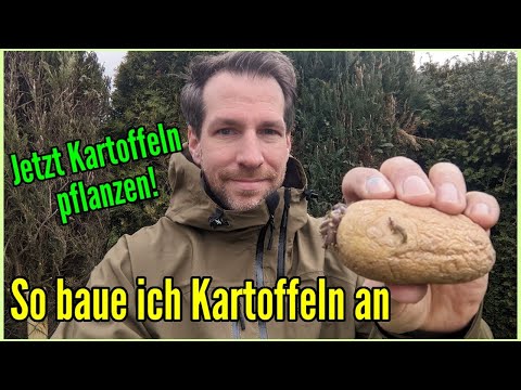 , title : 'Jetzt Kartoffeln pflanzen - So kann jeder Kartoffeln erfolgreich anbauen auch ohne eigenen Garten'