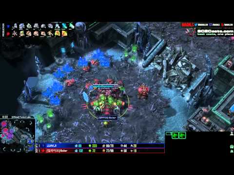 jjakji v solar tvz g3