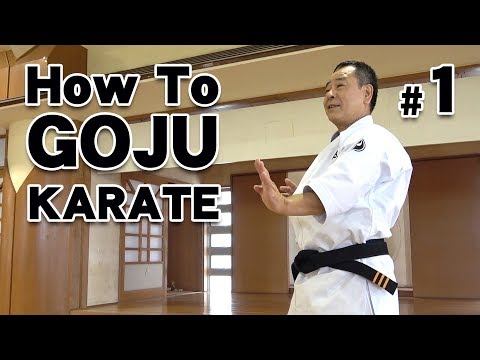 How to GOJU-RYU KARATE #1 | Karate Lessons | Master Masaaki Ikemiyagi ...