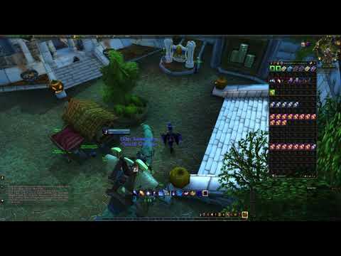 My loot after 100 RUNS of SUNWELL PLATEAU - Wow Shadowlands Gold Farm