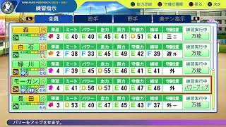 栄冠ナイン　宮崎県チキン南蛮高校　甲子園優勝を目指して　二年目