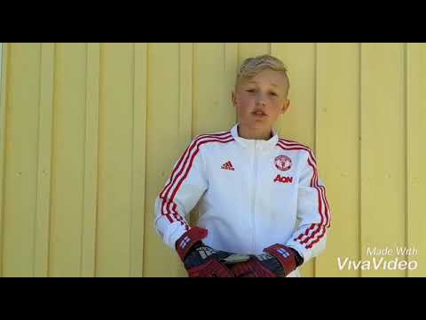 Adidas Predator 19.2 Gloves