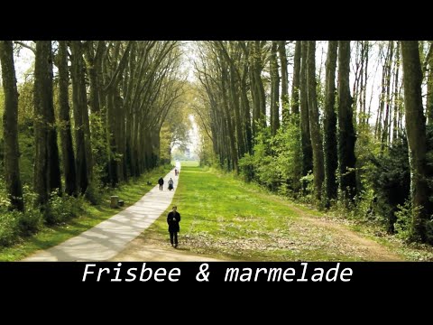 Thierry Larose -  Frisbee & marmelade [vidéoclip officiel]
